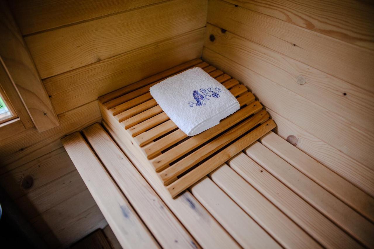 Chalet Na Gorniej Lace - Gorny Lazany
