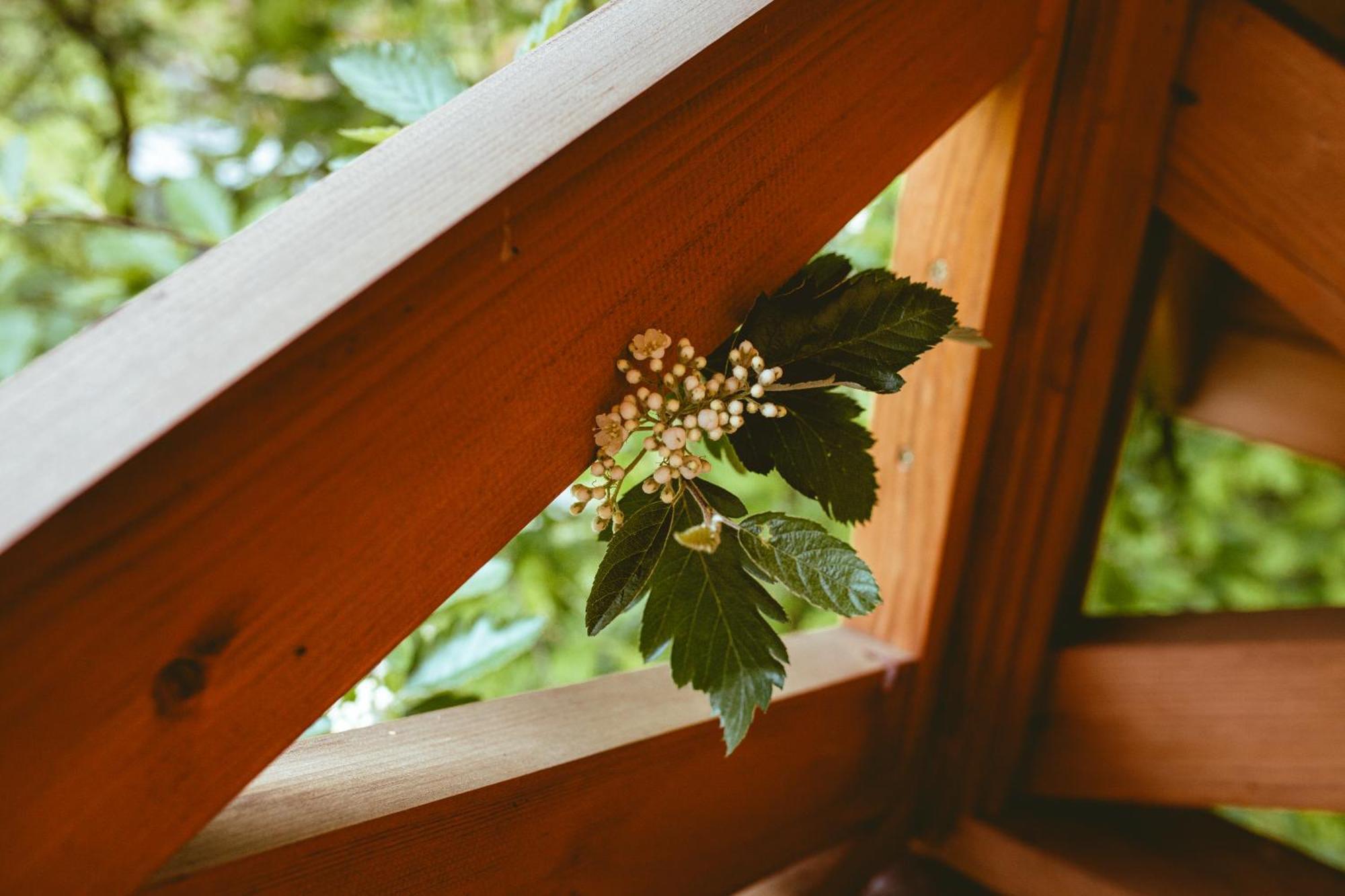 Na Gorniej Lace - Gorny Chalet *