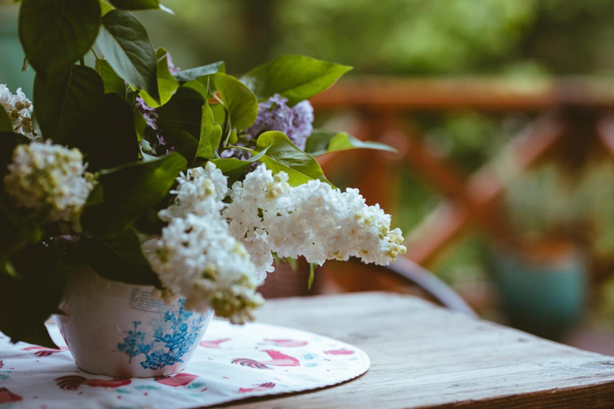 Na Gorniej Lace - Gorny Chalet Lazany