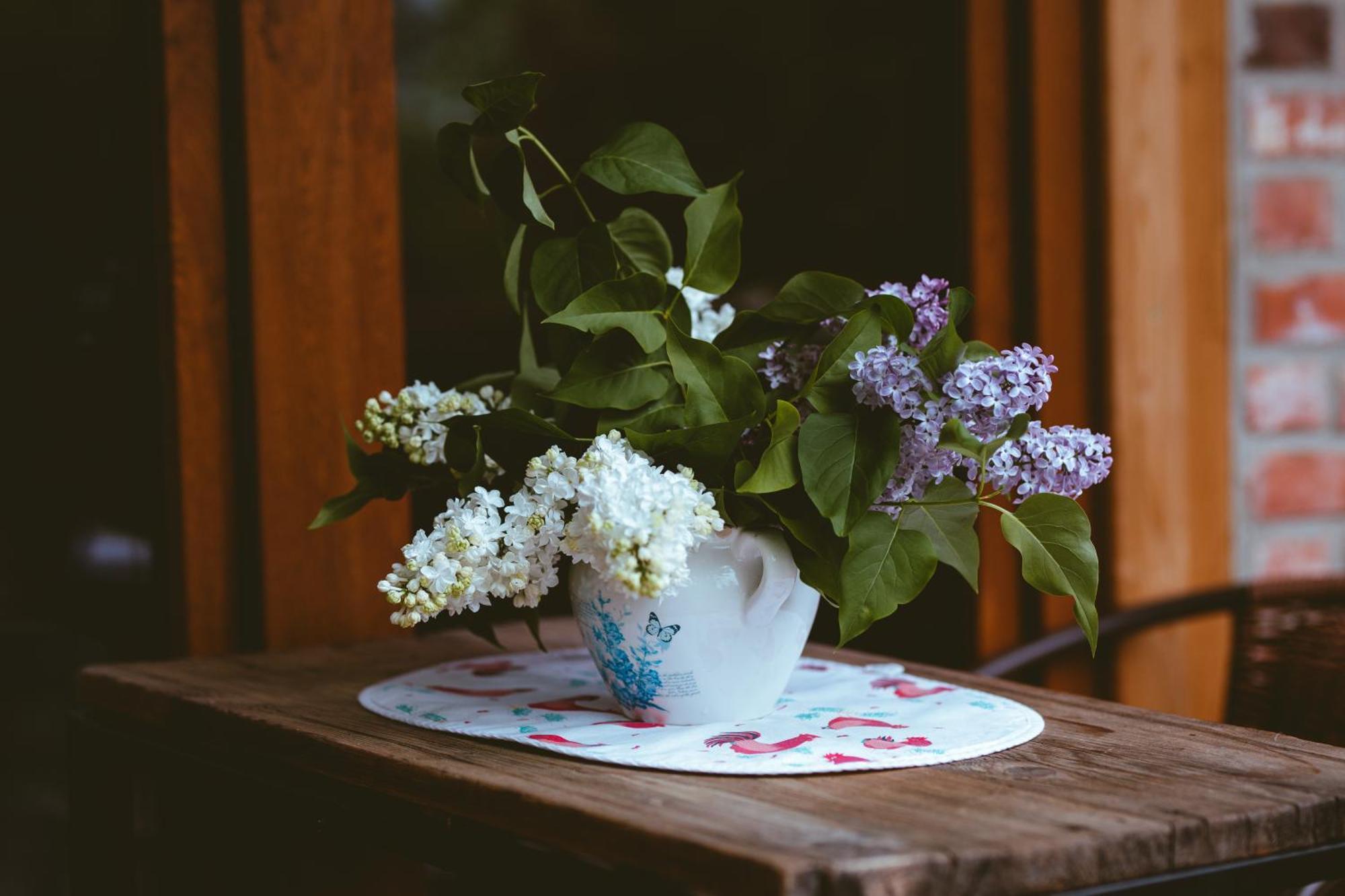 Na Gorniej Lace - Gorny